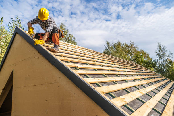 Best Metal Roofing Contractor  in Taylorsville, MS